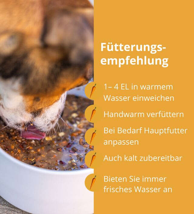 Höveler DOG MASH